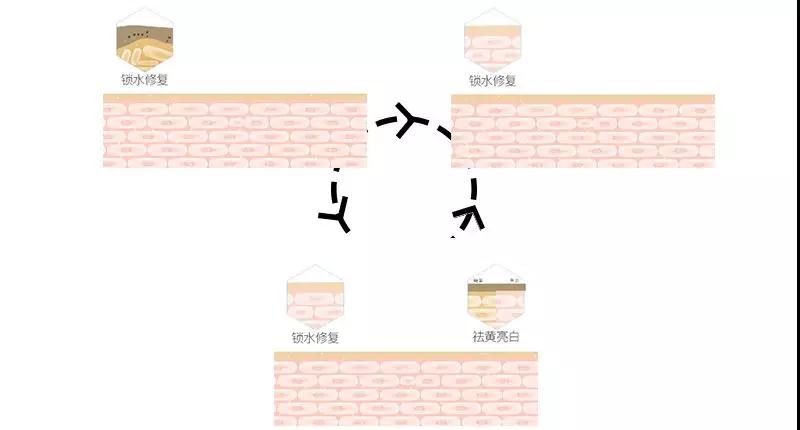 利来国际旗舰厅(中国区)_w66利来官网