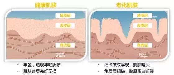 利来国际旗舰厅(中国区)_w66利来官网